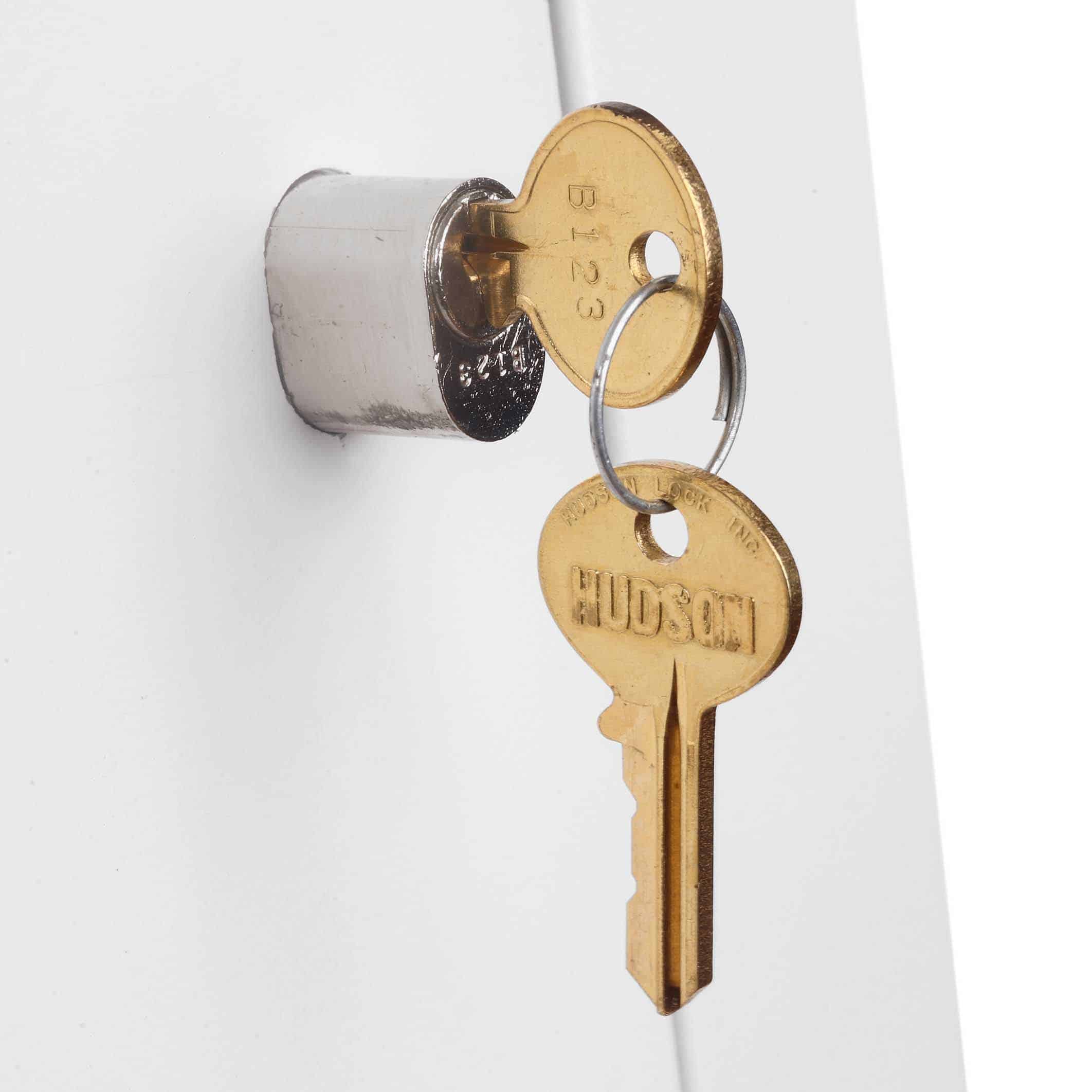 FS2252 Vertical Fire File