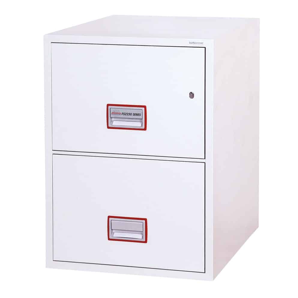 FS2252 Vertical Fire File